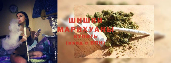 хмурый Арсеньев