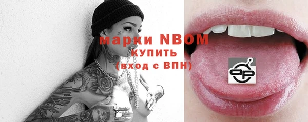 хмурый Арсеньев