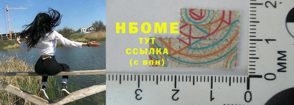 хмурый Арсеньев