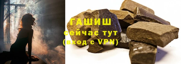 хмурый Арсеньев