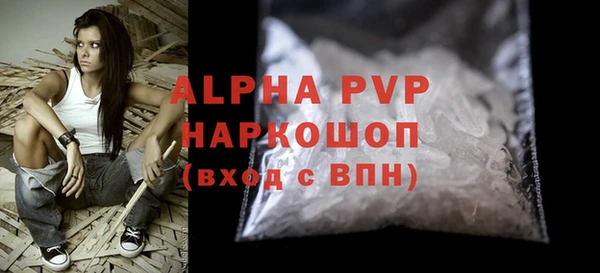 хмурый Арсеньев