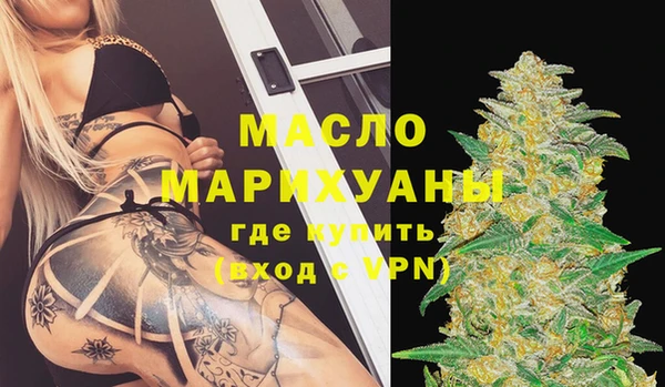 хмурый Арсеньев