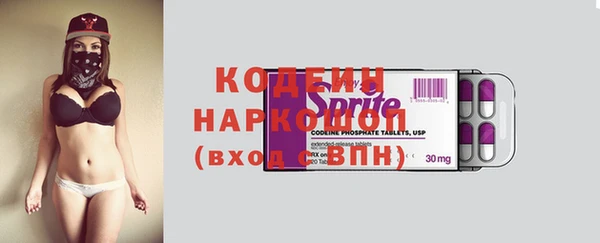 хмурый Арсеньев