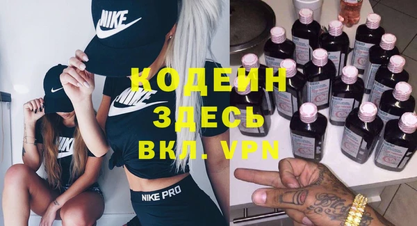 хмурый Арсеньев