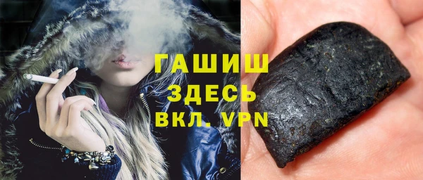 хмурый Арсеньев