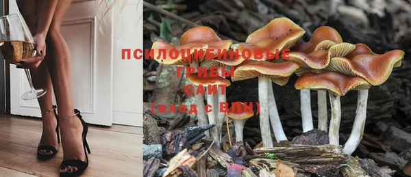 спайс Аркадак